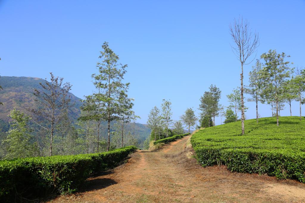 Pavithram Homestay Munnar Dış mekan fotoğraf